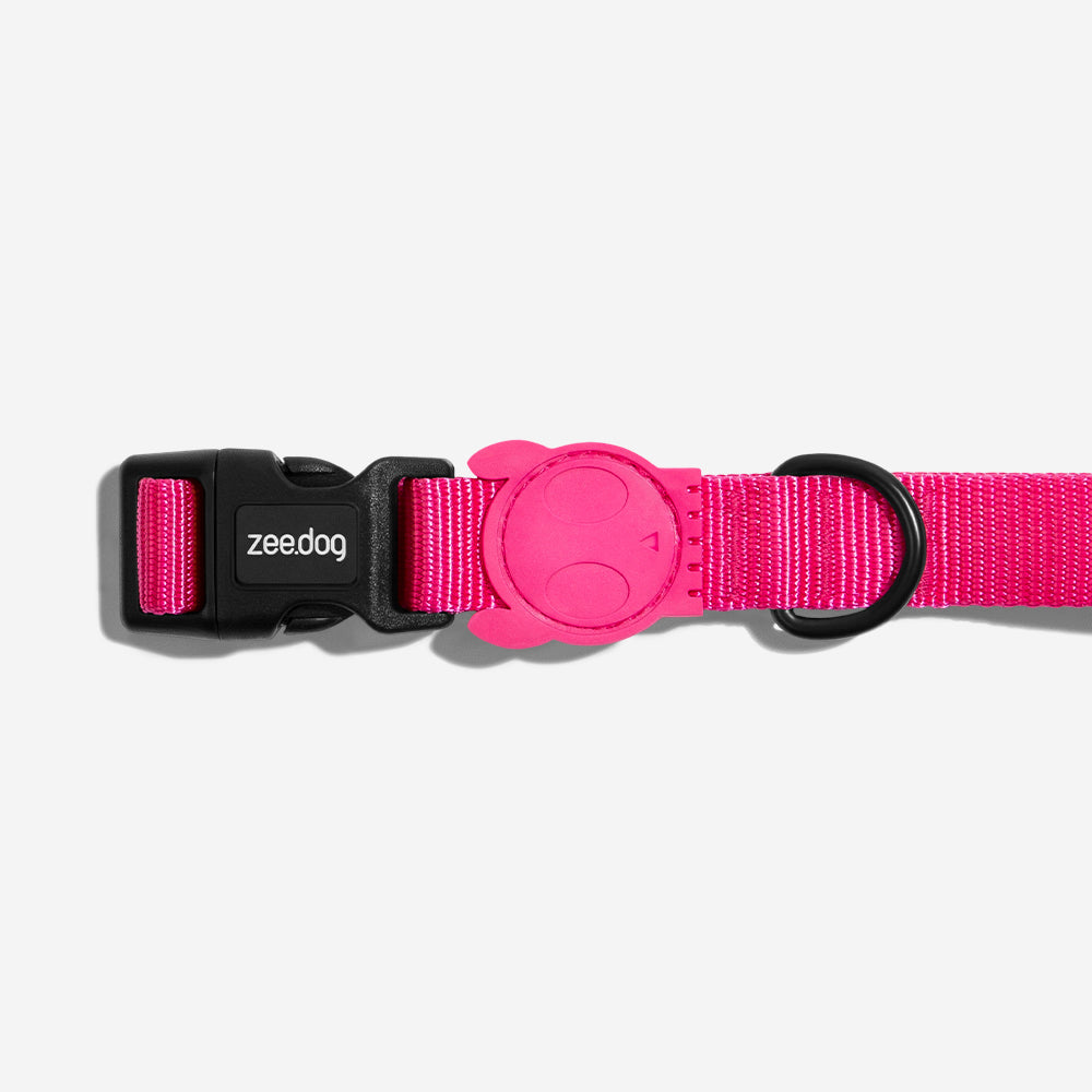 Pink Led Collar