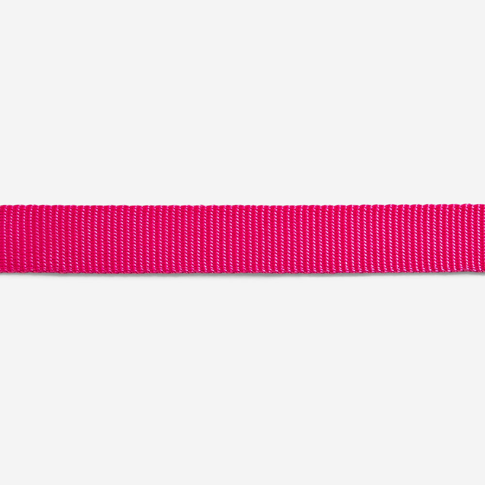 Pink Led Collar