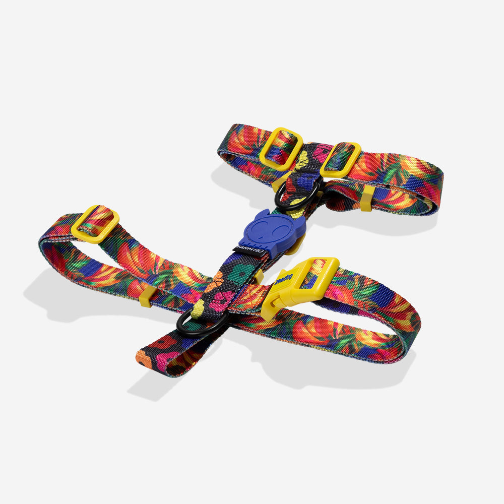 Farm Samba H-Harness