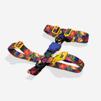 Farm Samba H-Harness