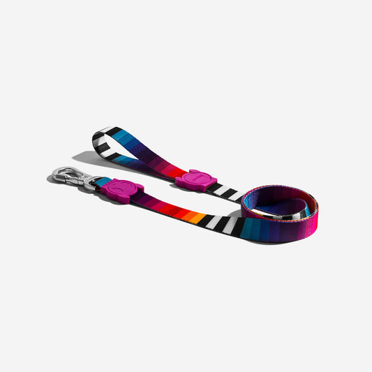 PRISMA LEASH