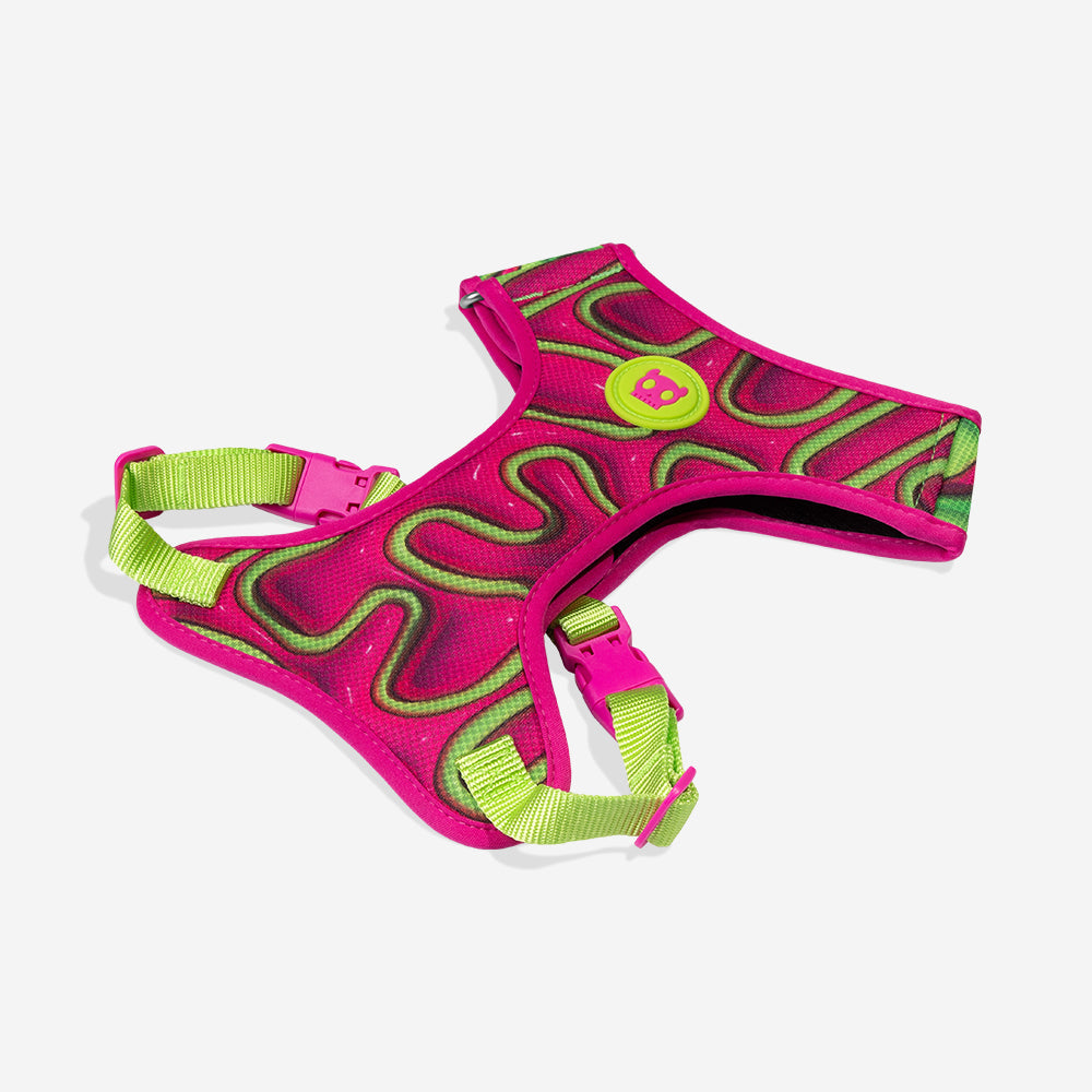 H3D Jelly Adjustable Air Mesh Harness