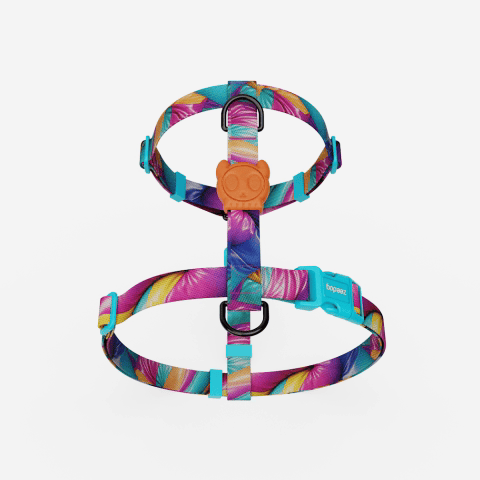 H3D Bounce H-Harness