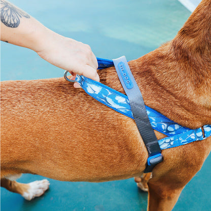 H3D Fly Softer Walk Harness