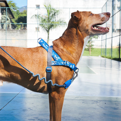 H3D Fly Softer Walk Harness