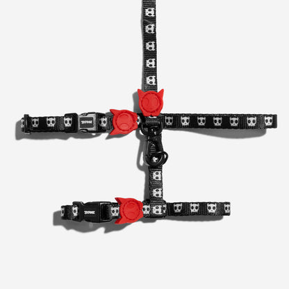 SKULL 2.0 HARNESS + LEASH SET