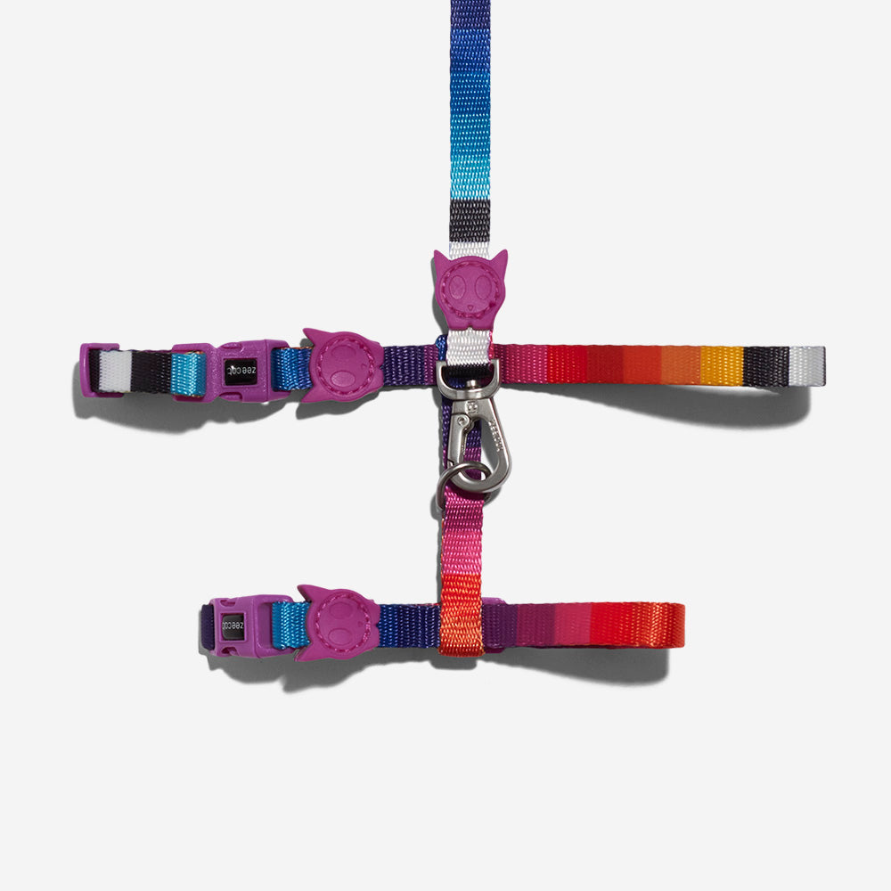PRISMA HARNESS + LEASH SET