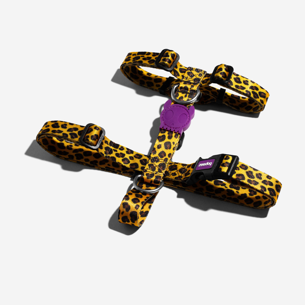 Honey H-Harness