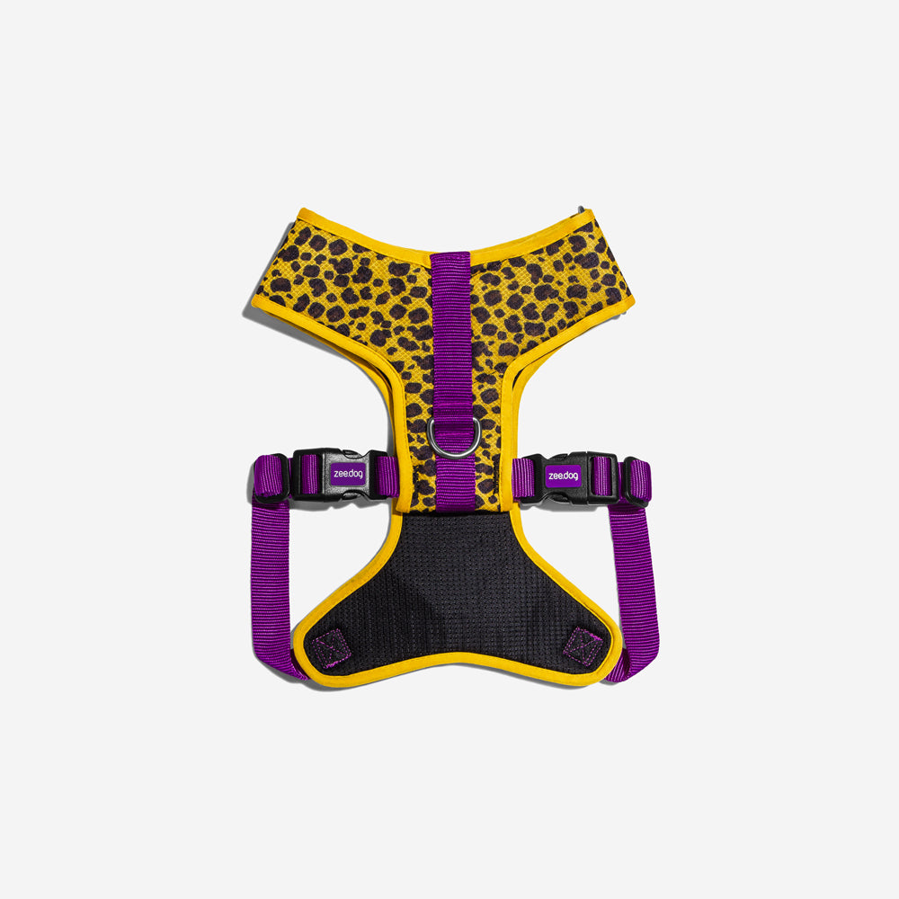 Honey Adjustable Air Mesh Harness