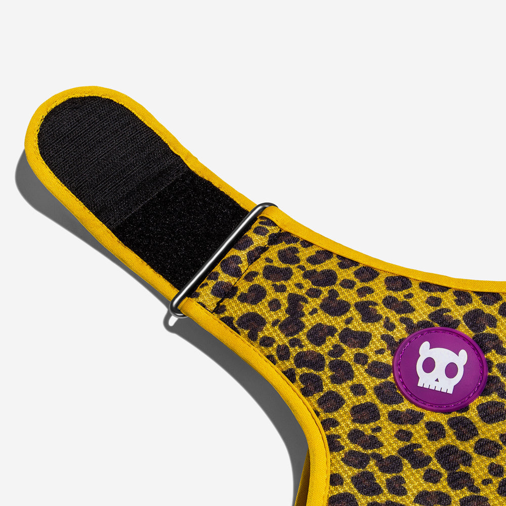 Honey Adjustable Air Mesh Harness