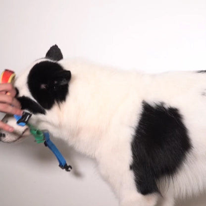 Mellow Softer Walk Harness