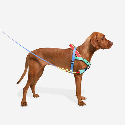 Mellow Softer Walk Harness