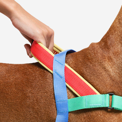 Mellow Softer Walk Harness