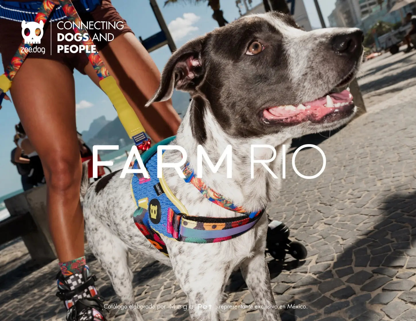 Catálogo Farm Rio por Zee.Dog