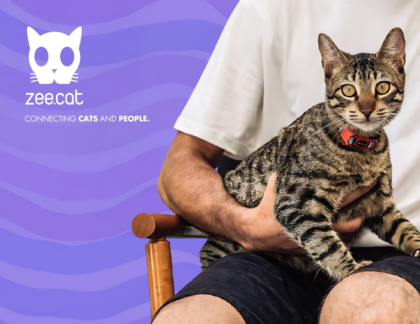 Zee.Cat Connecting Cats and People con gato usando collar Zee.Cat